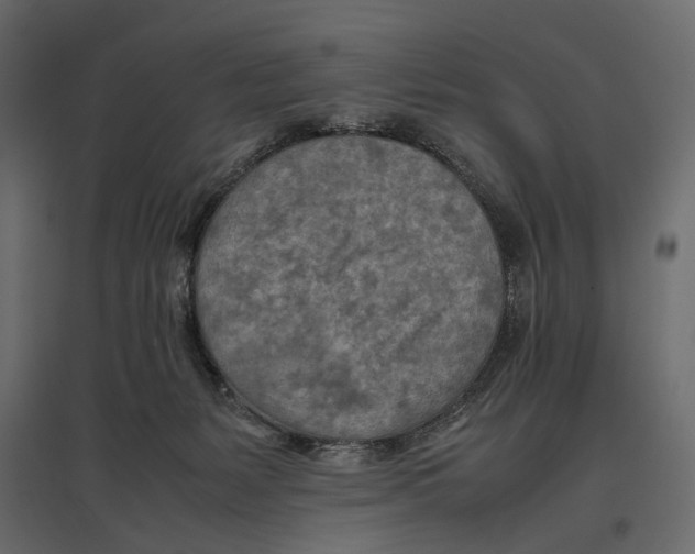 X0000096980127200803071039