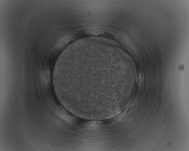 X0000096980128200803071039