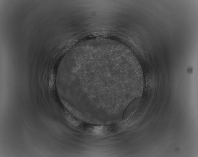 X0000096980130200803071038