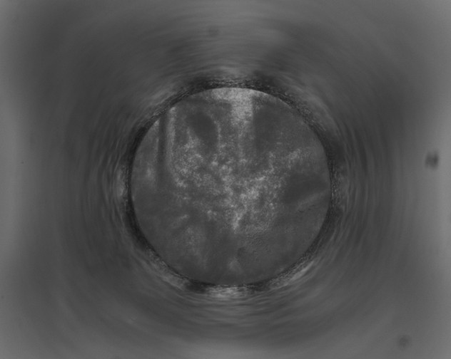 X0000096980131200803071038