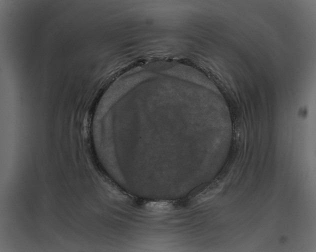 X0000096980133200803071038