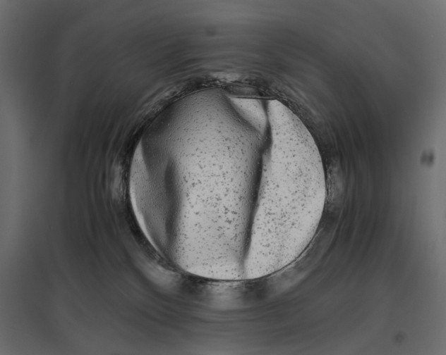 X0000096980136200803071038