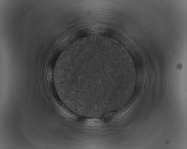 X0000096980137200803071038