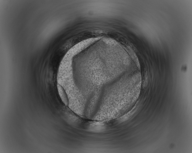 X0000096980140200803071038