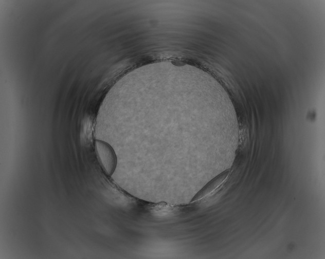 X0000096980142200803071038