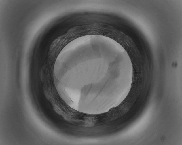 X0000096980143200803071038