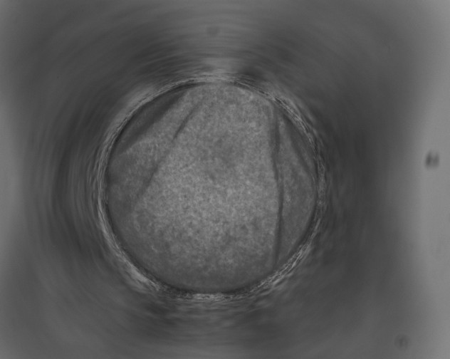 X0000096980145200803071038