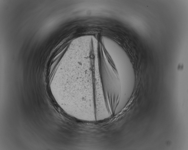 X0000096980146200803071038