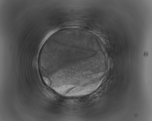 X0000096980147200803071038