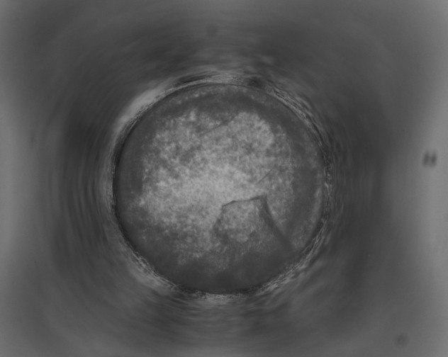 X0000096980149200803071038