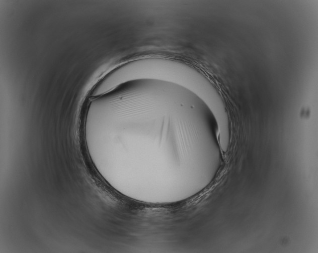 X0000096980150200803071038