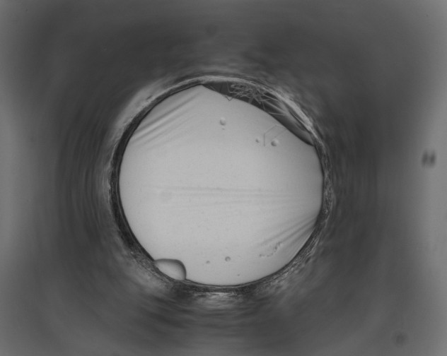 X0000096980151200803071038