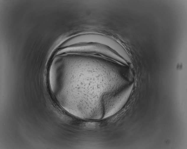 X0000096980152200803071038