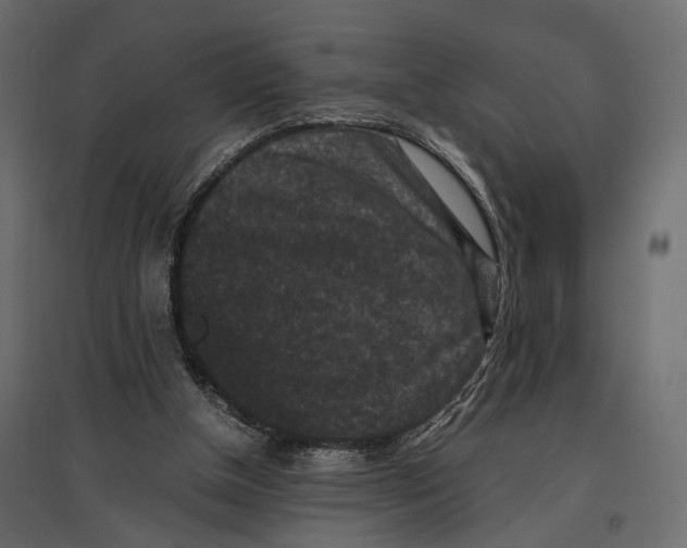 X0000096980154200803071038