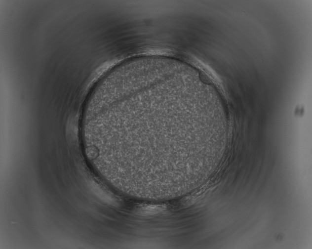 X0000096980155200803071038