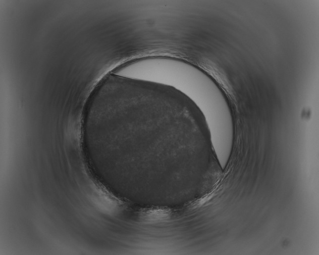 X0000096980156200803071038