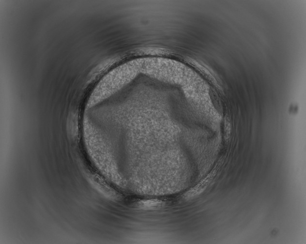 X0000096980158200803071038