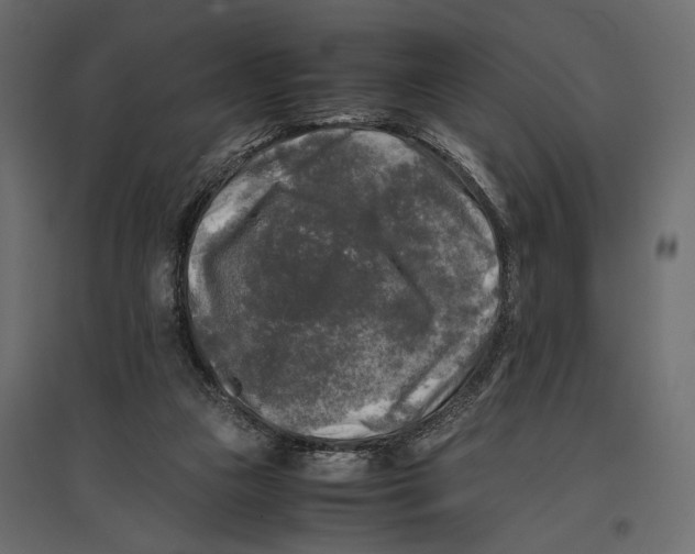 X0000096980161200803071038