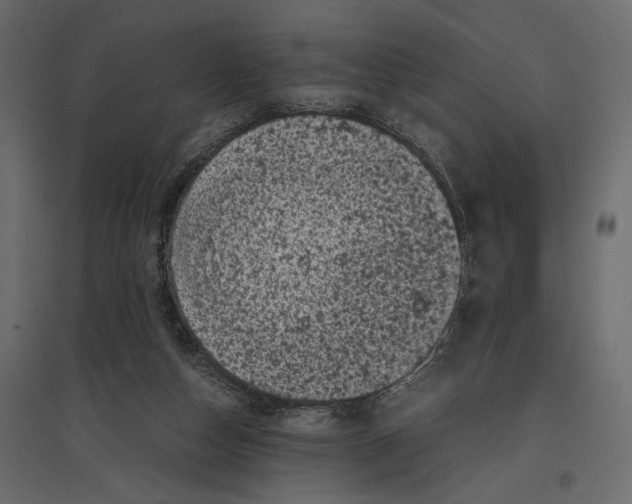 X0000096980162200803071038