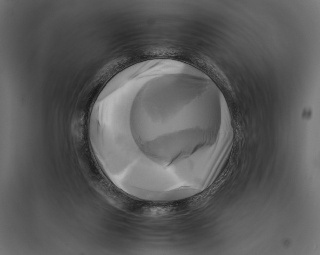 X0000096980163200803071038