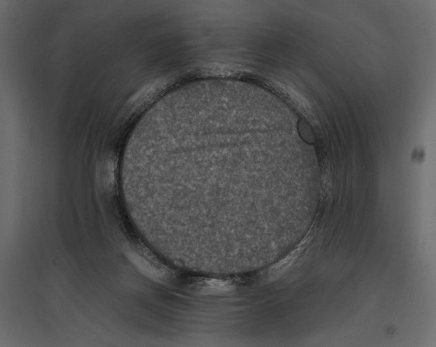 X0000096980166200803071038