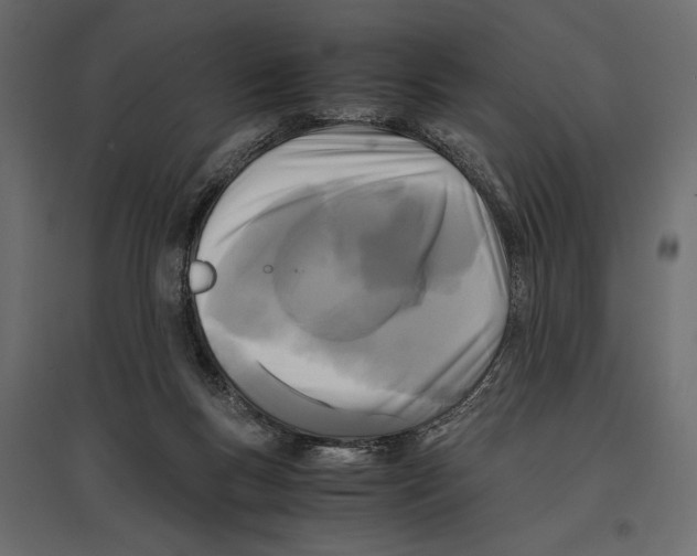 X0000096980167200803071038