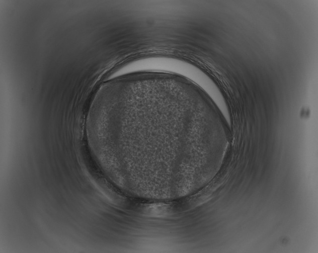 X0000096980168200803071038