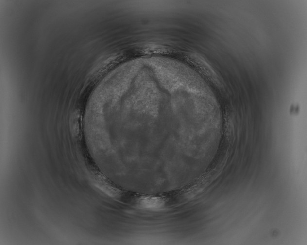 X0000096980169200803071038