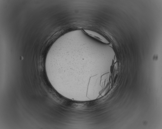X0000096980170200803071038