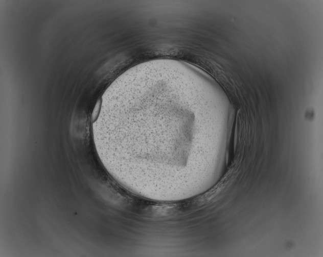 X0000096980172200803071038