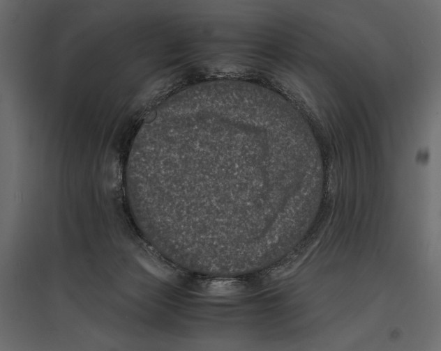 X0000096980173200803071038