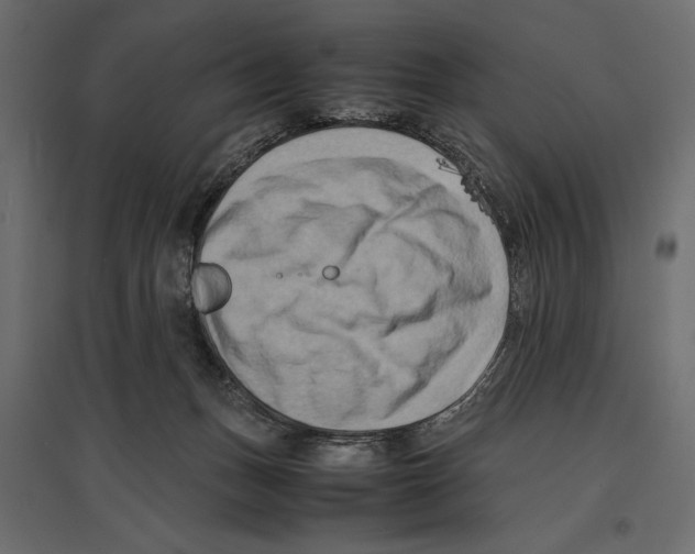 X0000096980175200803071038