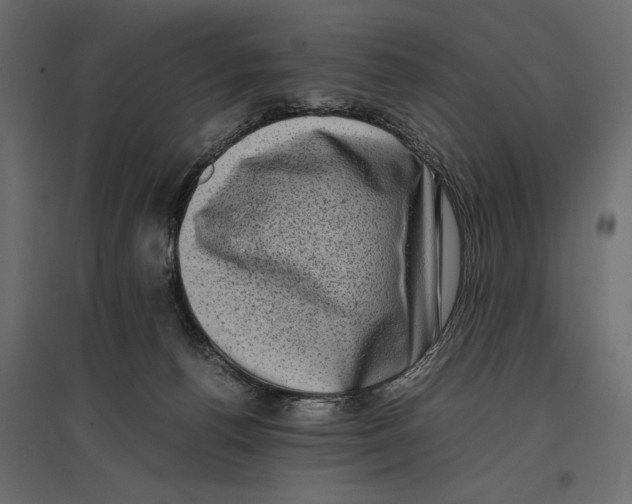 X0000096980176200803071038