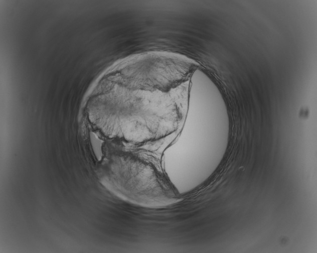 X0000096980177200803071038