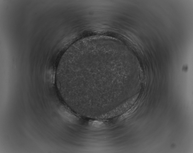 X0000096980180200803071038