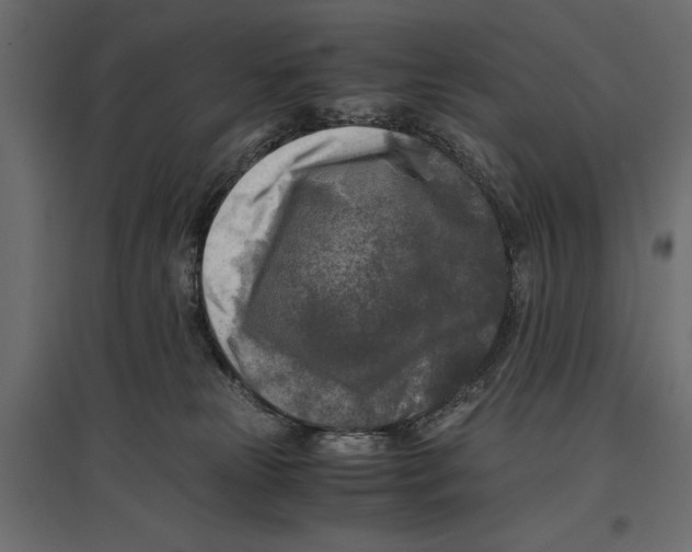 X0000096980181200803071038