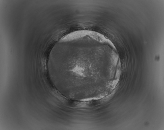 X0000096980182200803071038