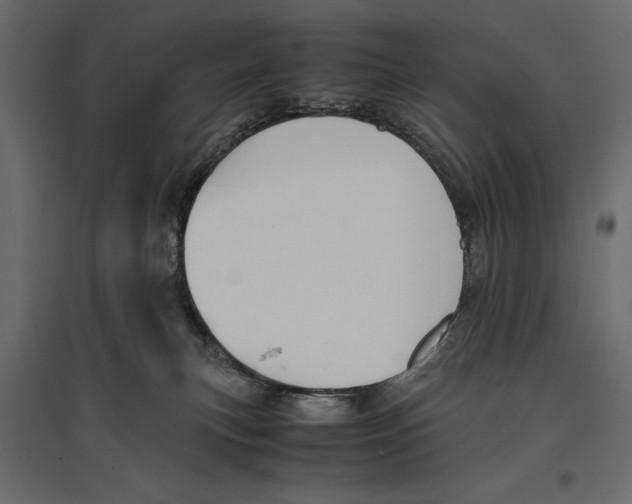 X0000096980183200803071038