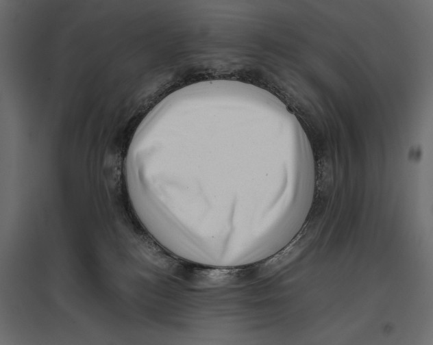 X0000096980184200803071038