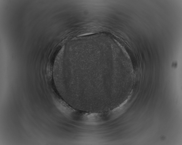 X0000096980186200803071038