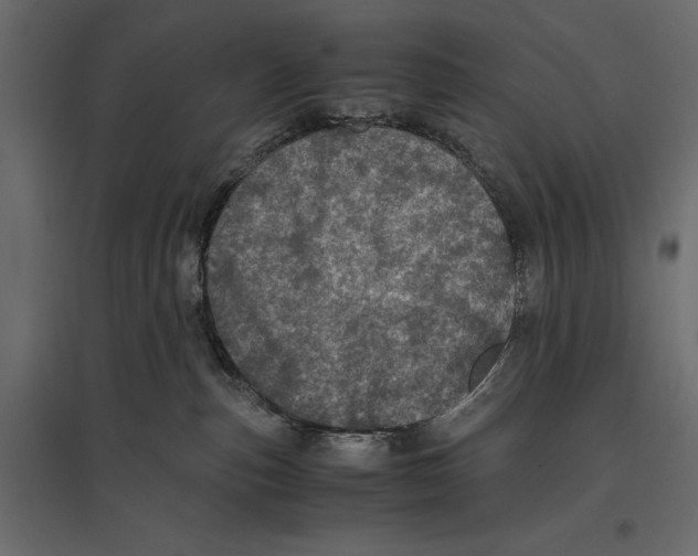 X0000096980187200803071038