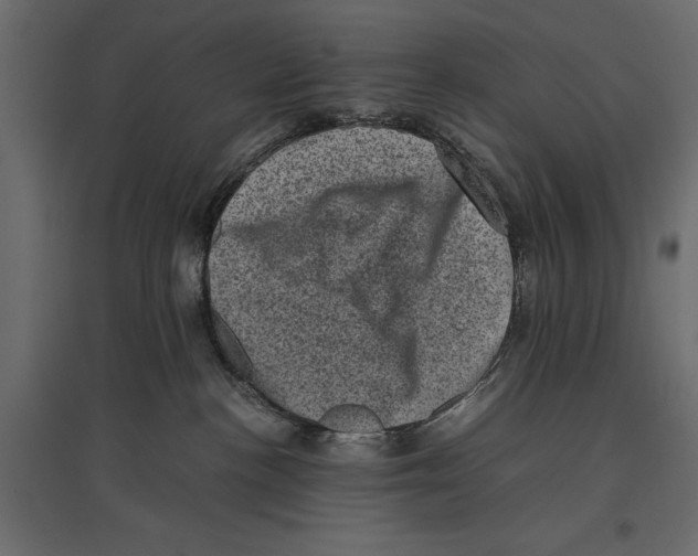 X0000096980188200803071038