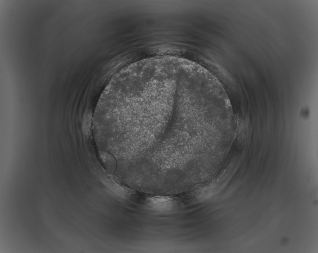 X0000096980189200803071038