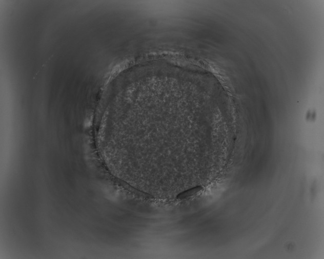 X0000096980192200803071038