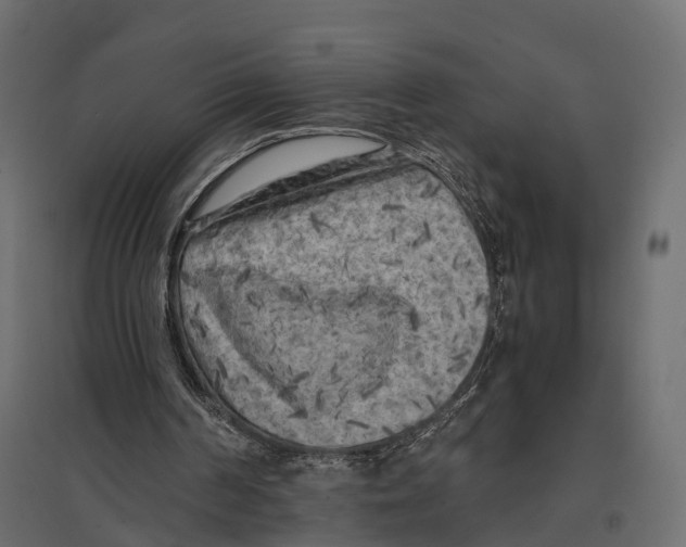 X0000096980194200803071038