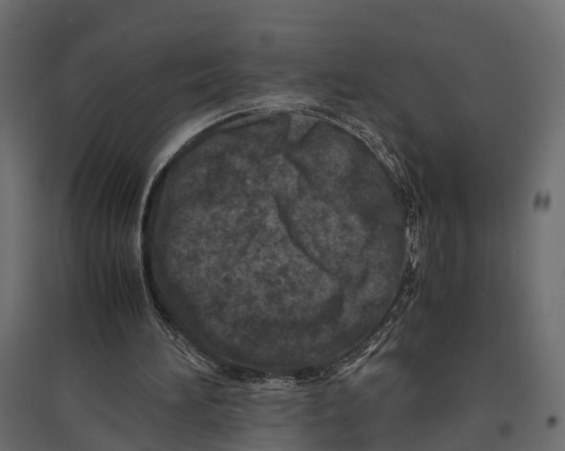 X0000096980196200803071038