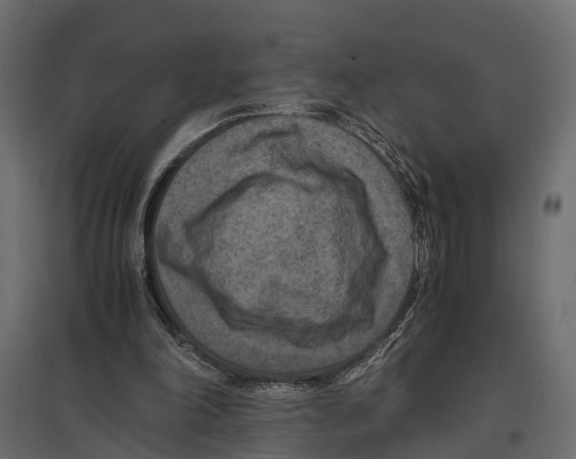 X0000096980198200803071038