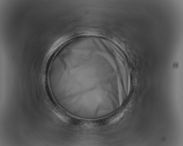 X0000096980199200803071037