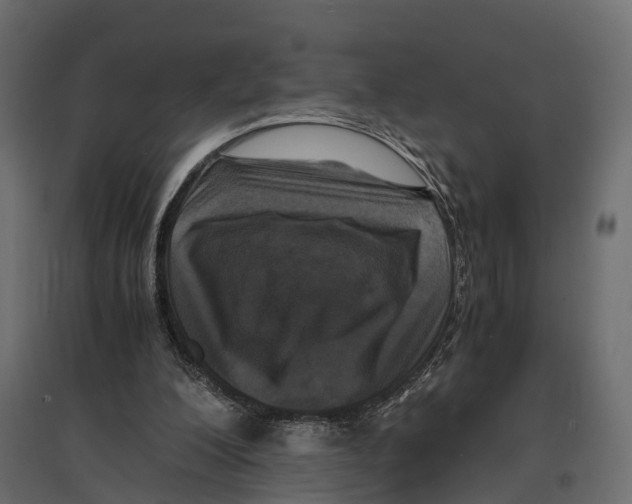 X0000096980200200803071037