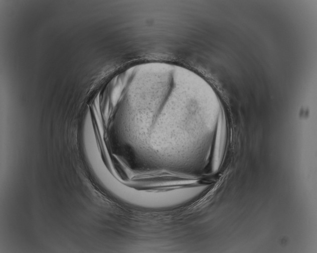 X0000096980201200803071037